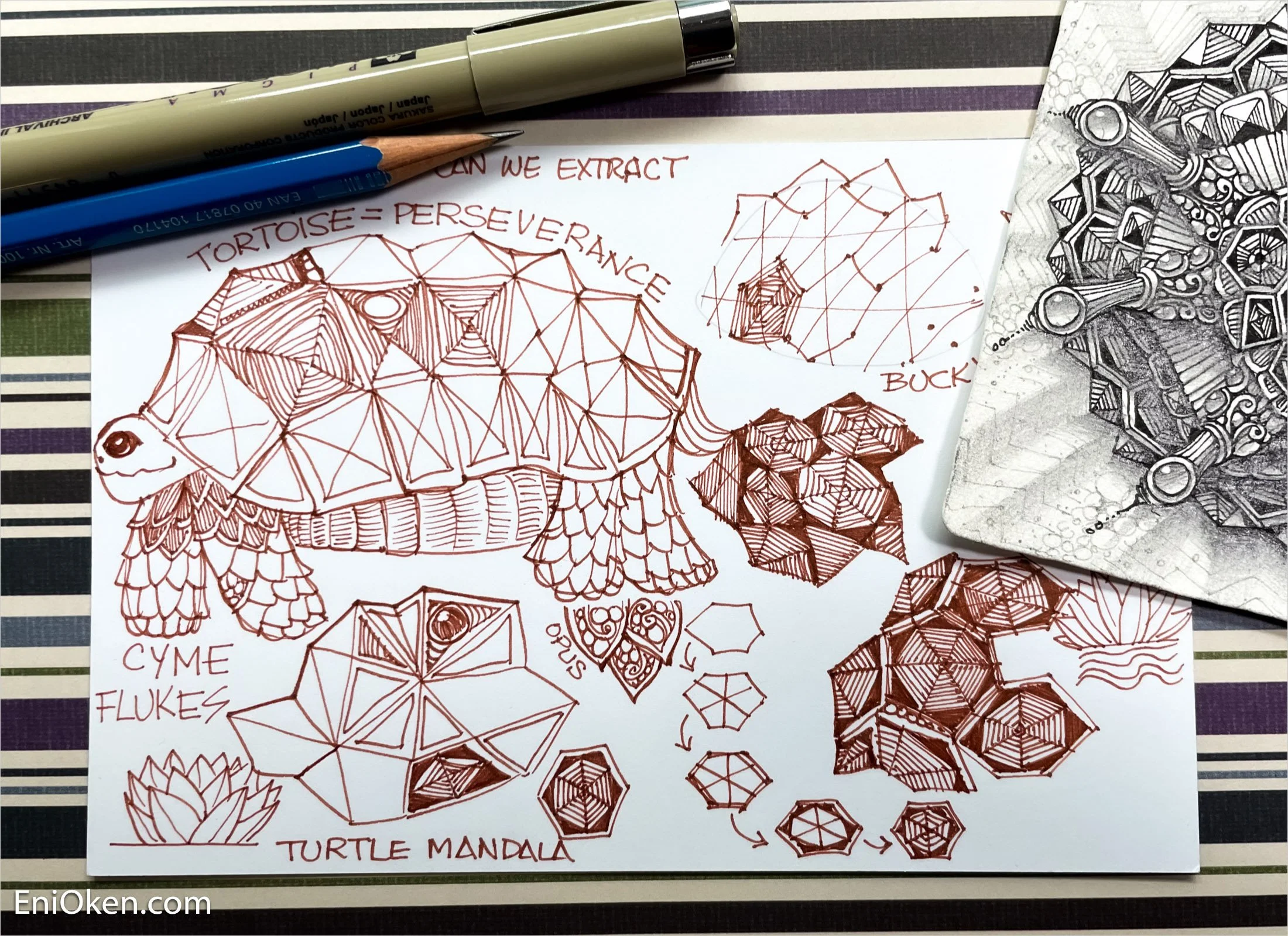 Turtle-inspired Bucky Mandala — Eni Oken